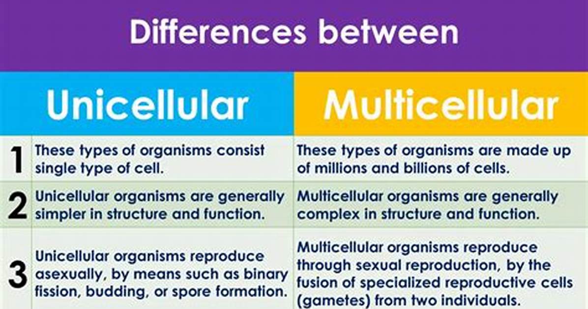What Are the Differences Between Unicellular and Multicellular Organisms