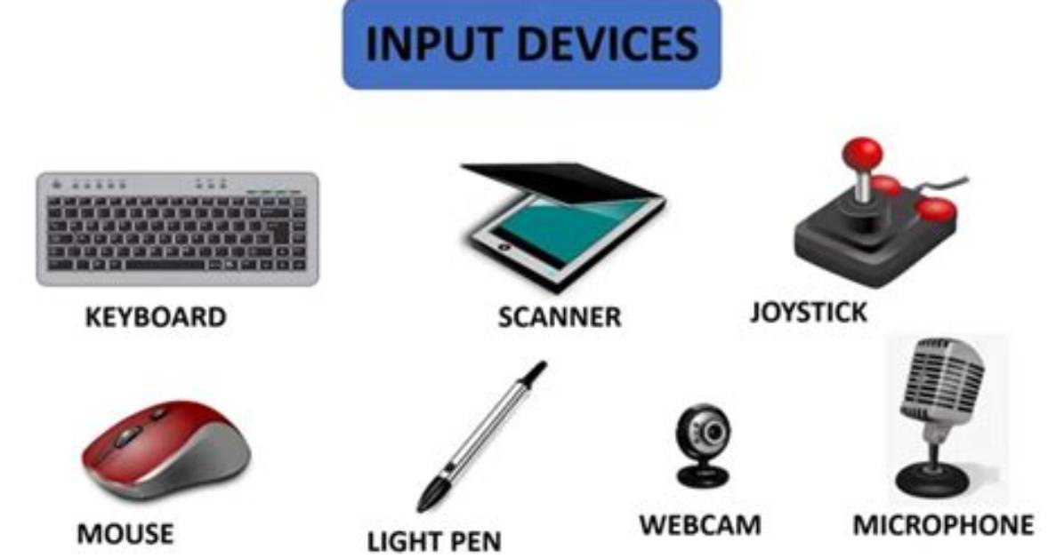 What Are the Different Input Devices of Computer