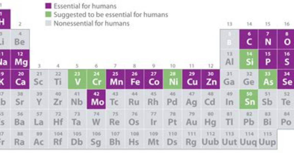 What Are the Essential Elements