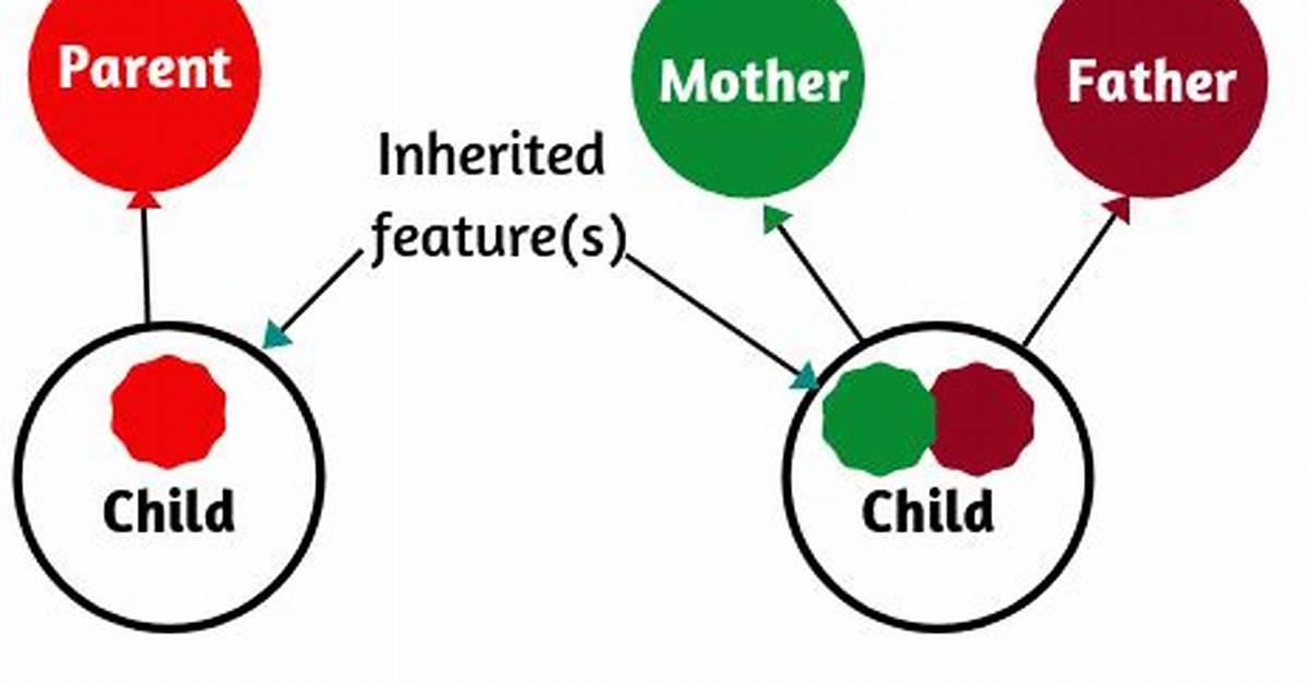 What Are the Features Reused Using Inheritance in Java?