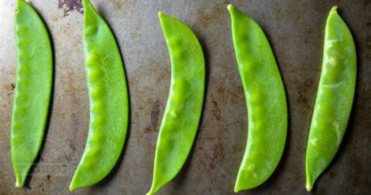 What Are the Flat Peas Called