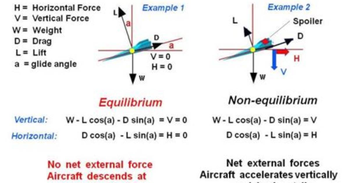 What Are the Forces in Equilibrium