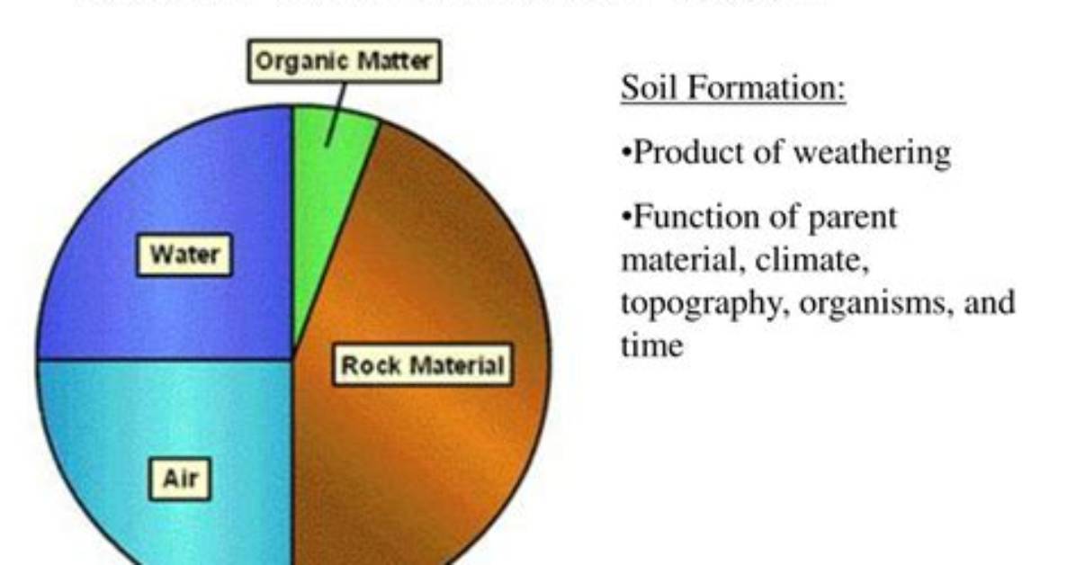 What Are the Four Components of Soil