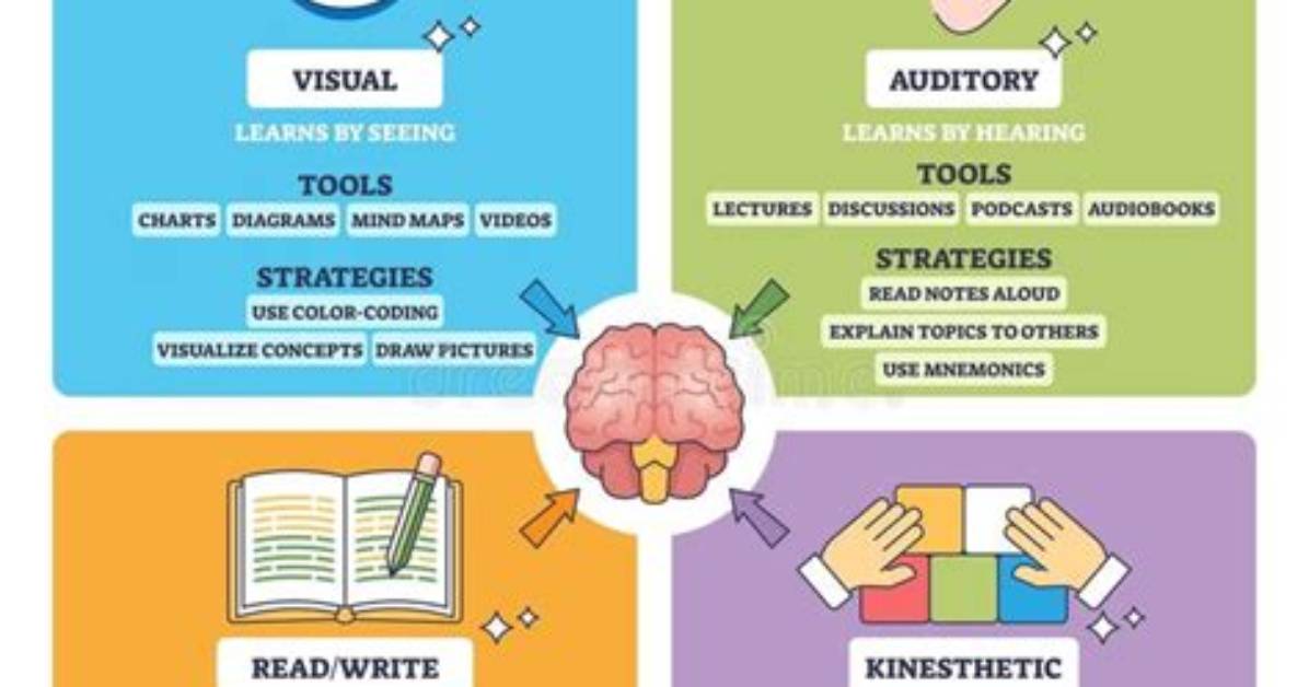 What Are the Four Learning Styles That Make up the Vark Inventory