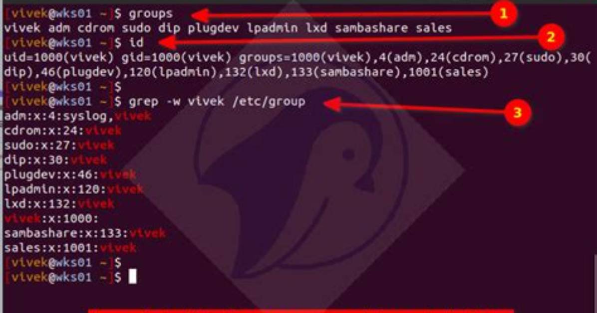 What Are the Groups in Linux?