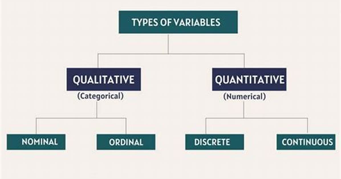 What Are the Main Variable Types