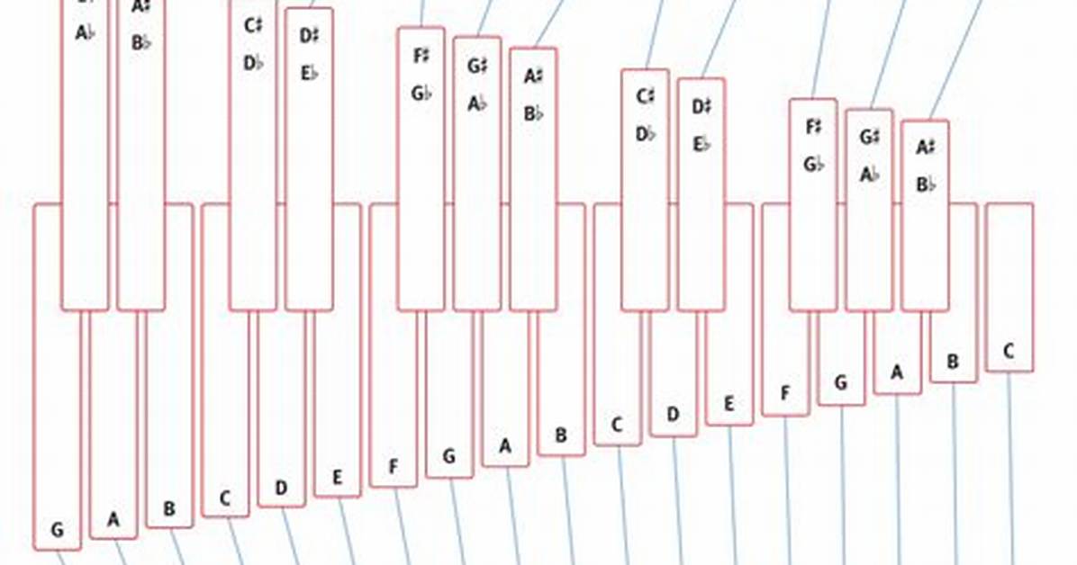 What Are the Notes on a Marimba