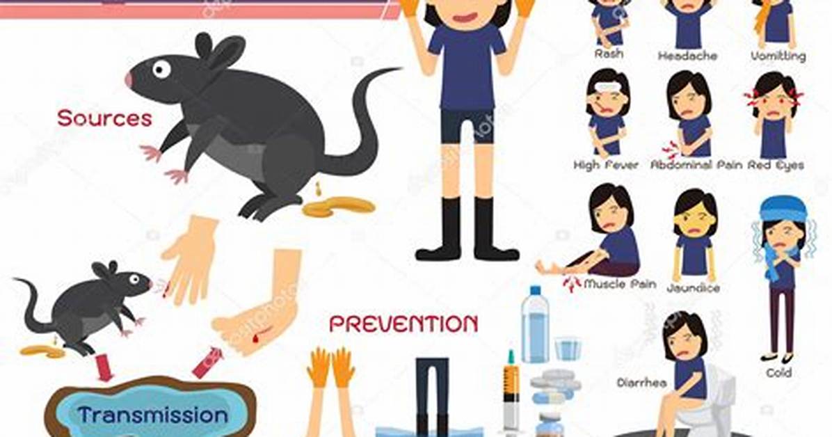 What Are the Symptoms of Leptospirosis in Dogs?