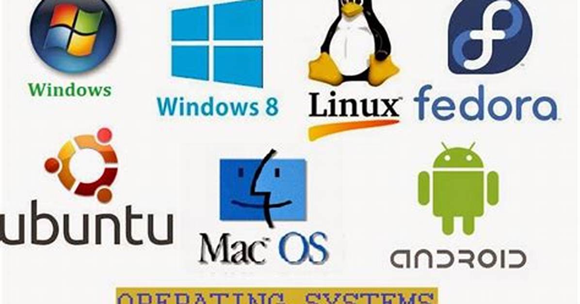 What Are the Two Main Operating Systems?