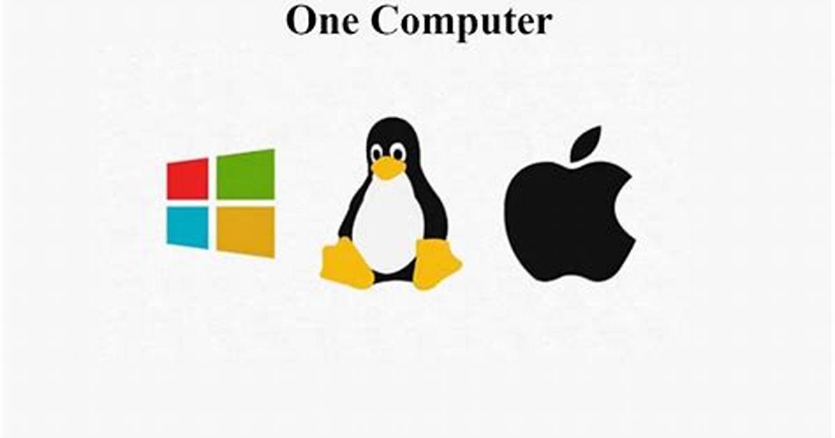 What Are Two Operating Systems?