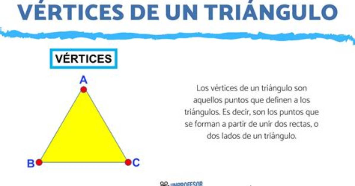 What Are Vertices