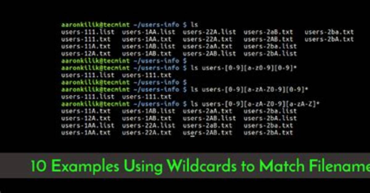 What Are Wildcards Linux?