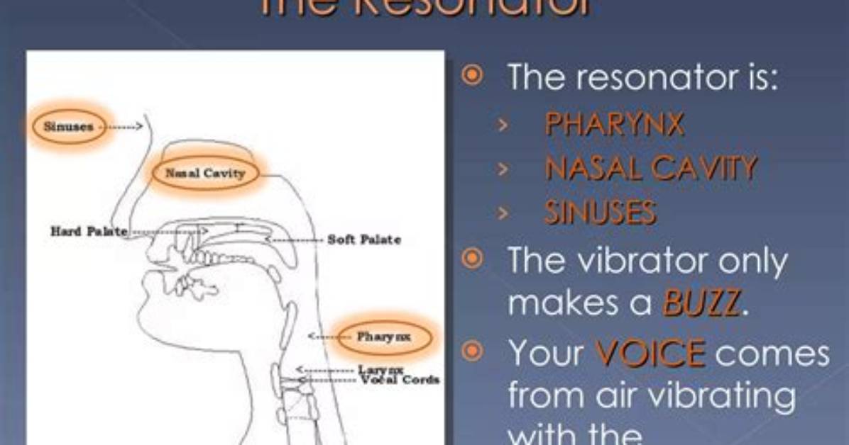 What Are Your Resonators