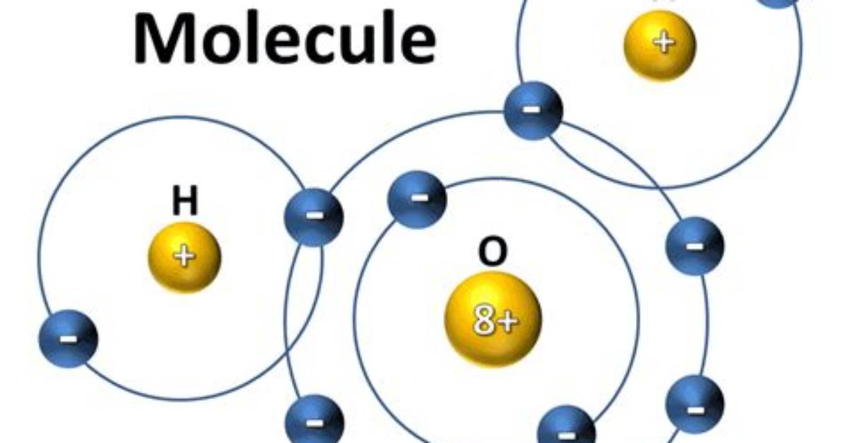 What Atom Is Water