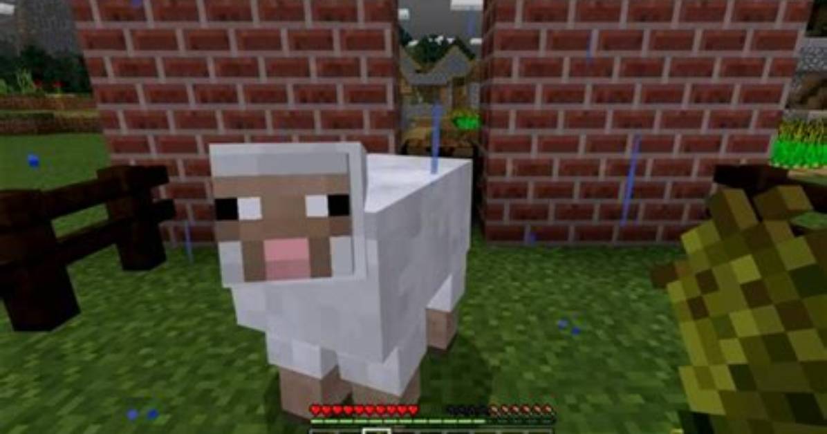 What Attracts Sheep in Minecraft