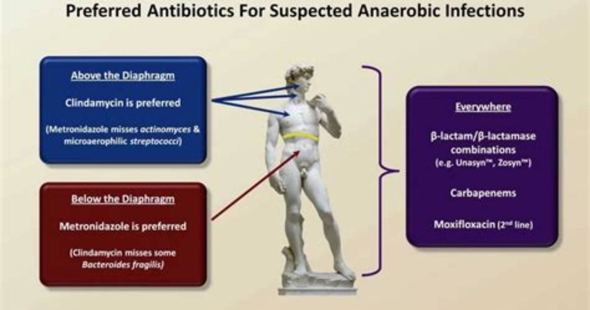 What Bacteria Does Augmentin Cover?