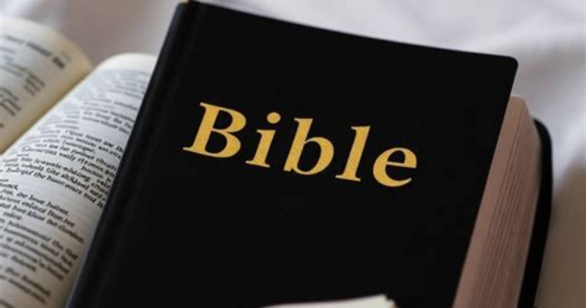 What Bible Does the Usccb Use?