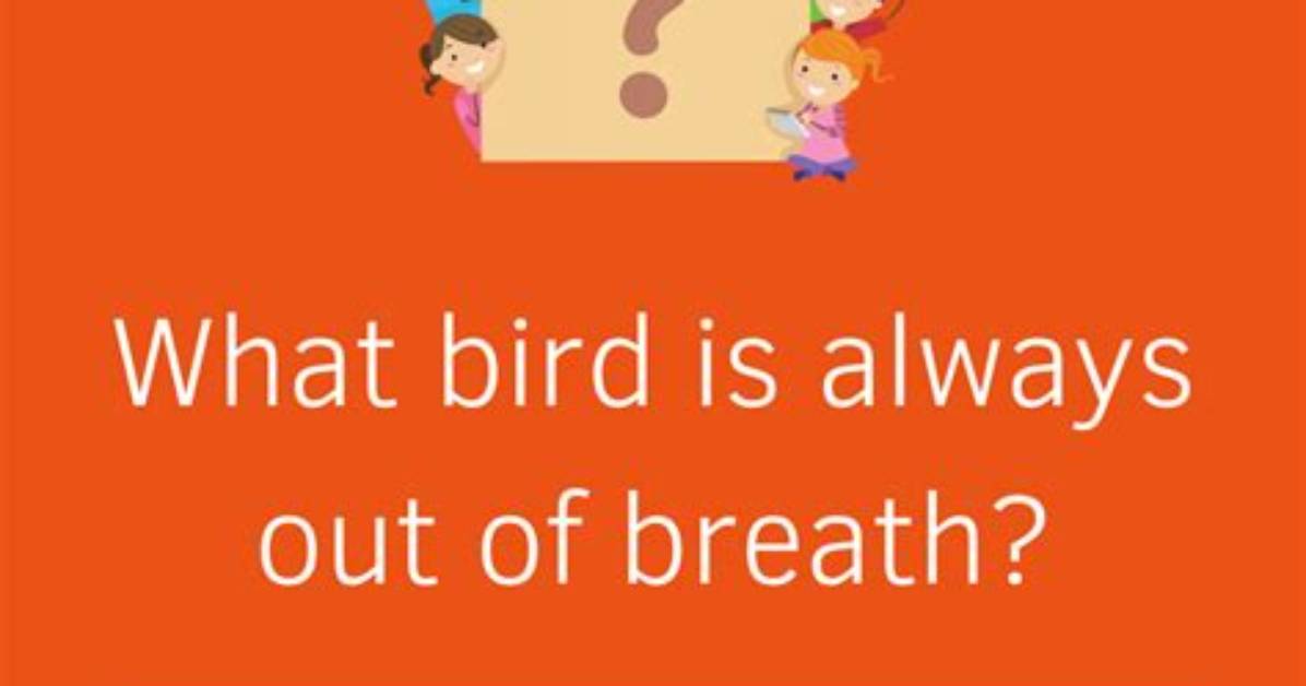 What Bird Is Always out of Breath? [Riddle Answers]