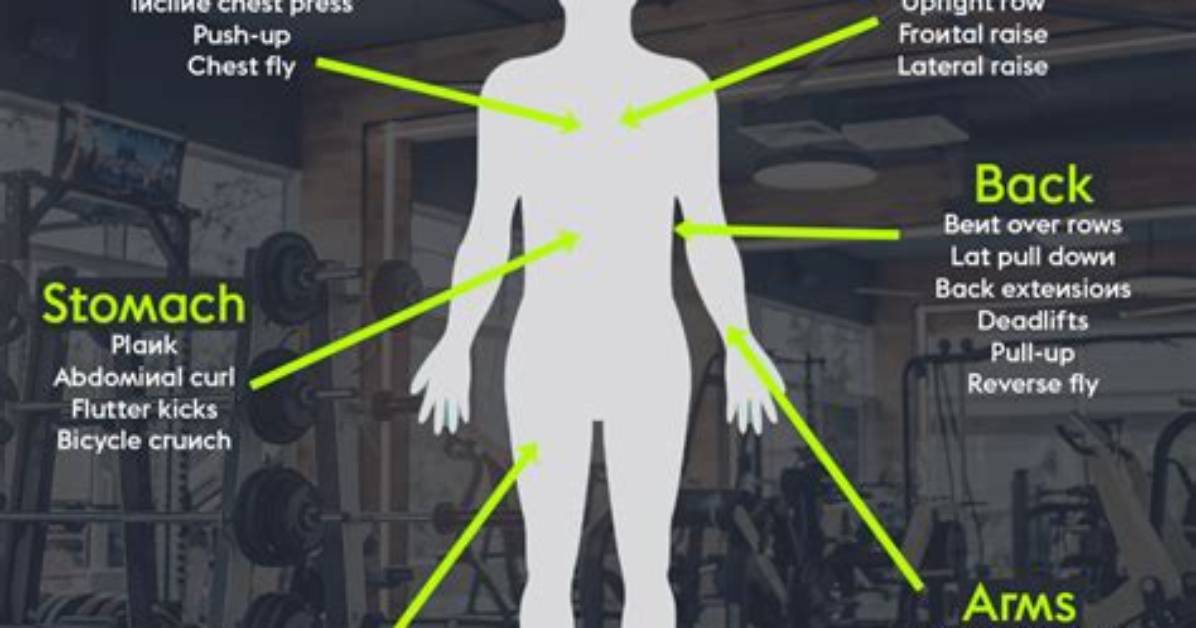 What Body Parts Should I Workout Together?
