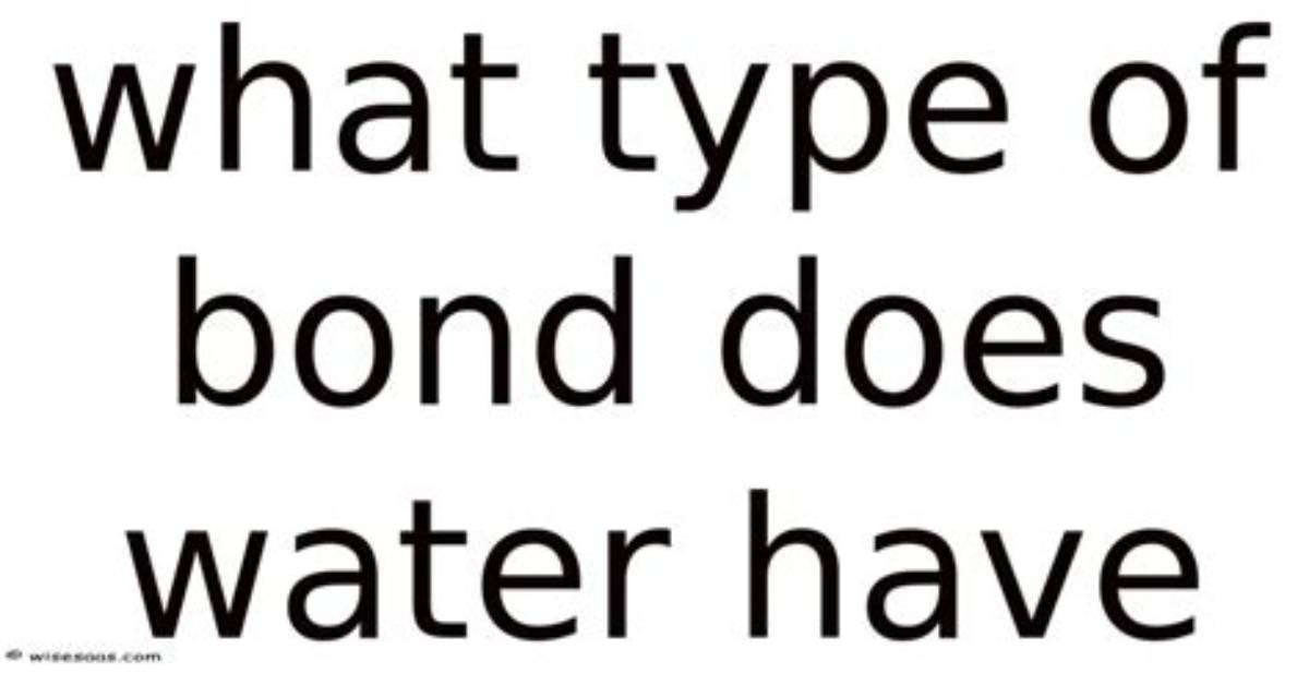 What Bond Does Water Have?