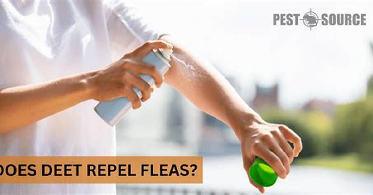 What Bugs Does Deet Repel