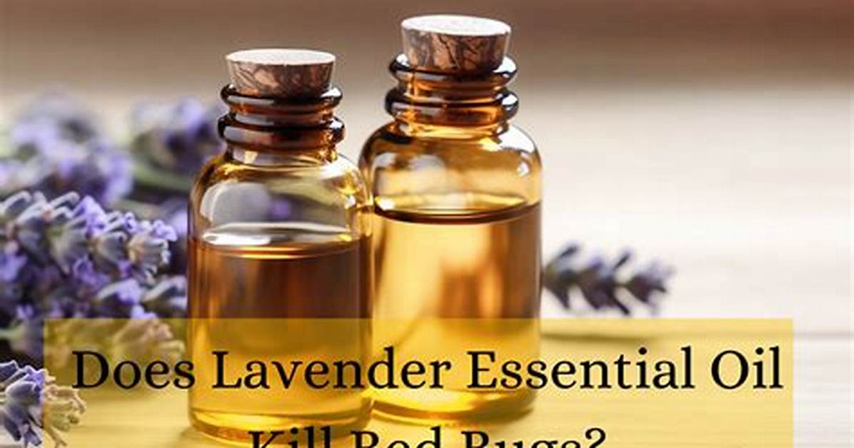 What Bugs Does Lavender Oil Keep Away