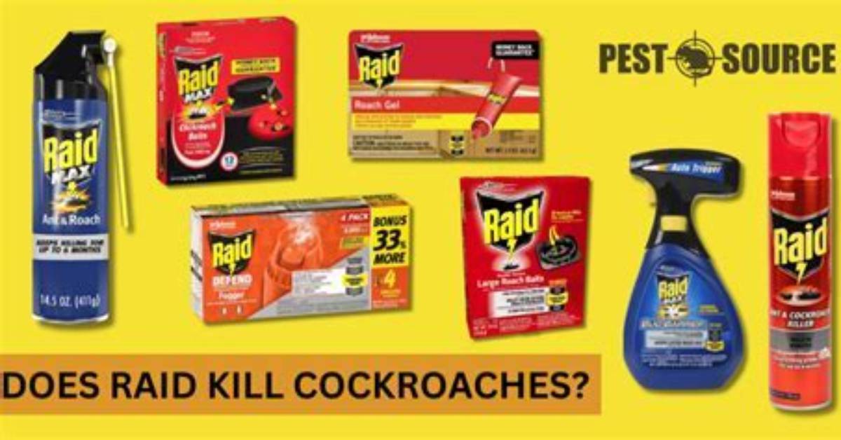 What Bugs Does Raid Fumigator Kill?