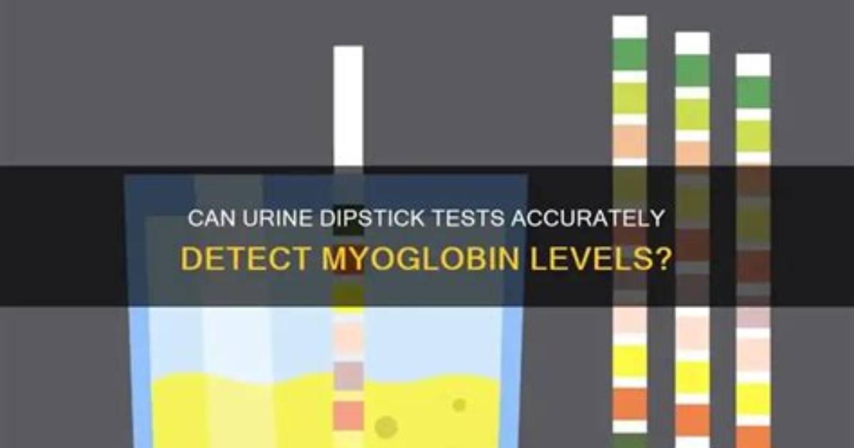What Can a Dipstick Detect?