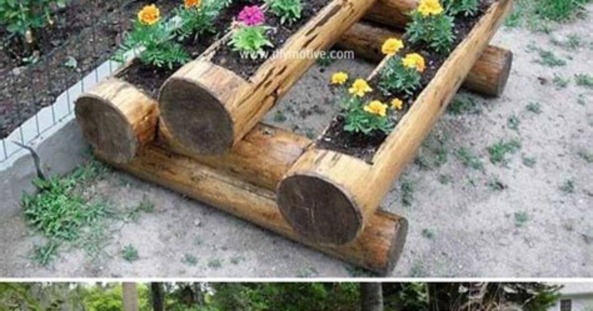 What Can I Do with Large Logs