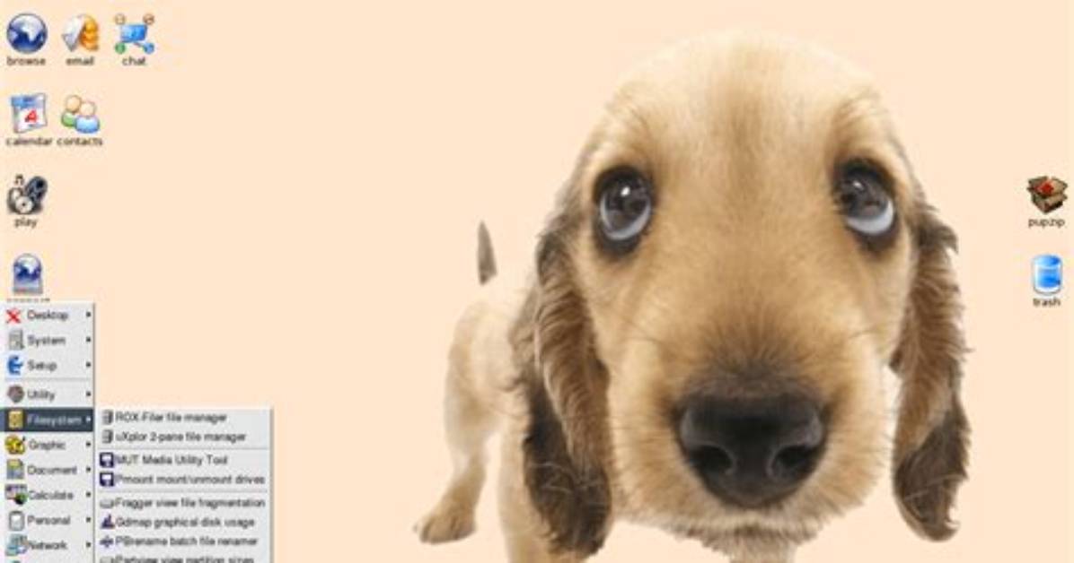What Can I Do with Puppy Linux?