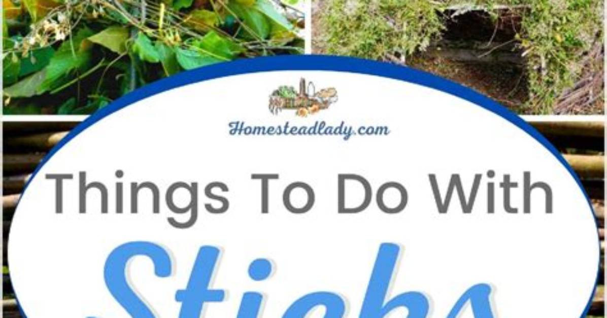 What Can I Do with Sticks