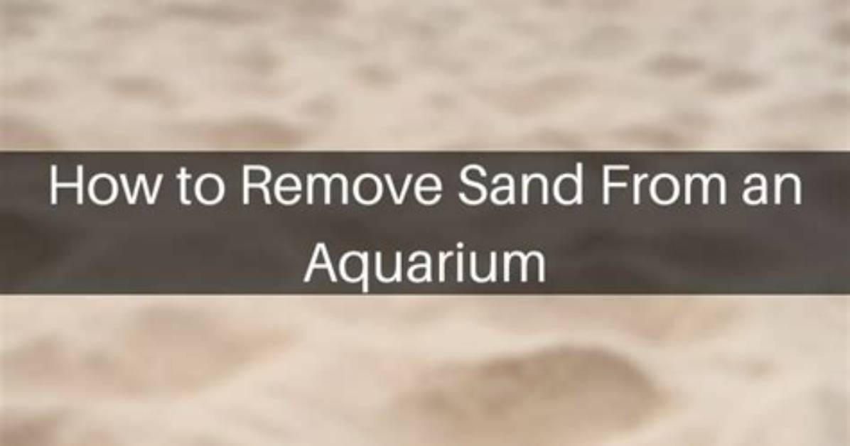 What Can Remove Sand