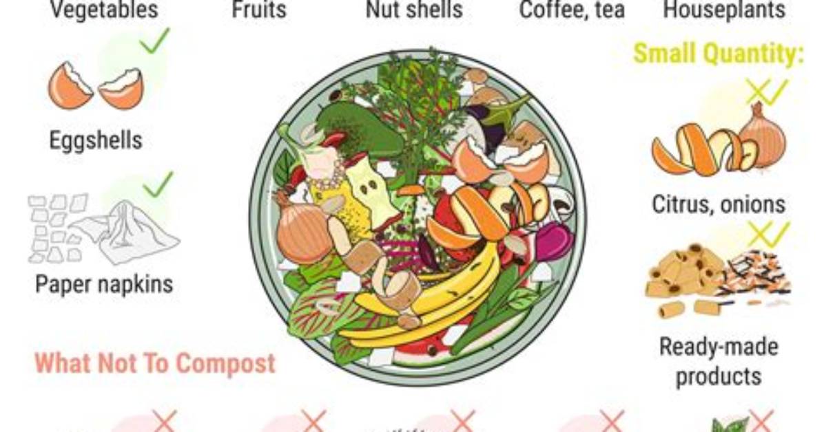 What Can You Compost from the Kitchen