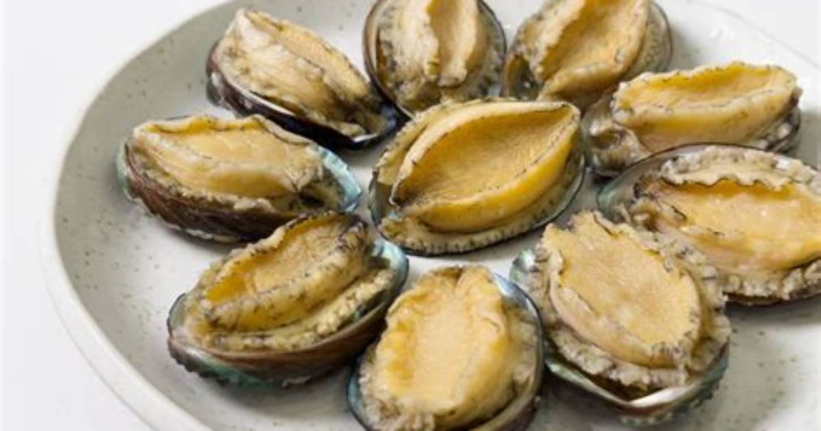 What Can You Do with Abalone Shells?