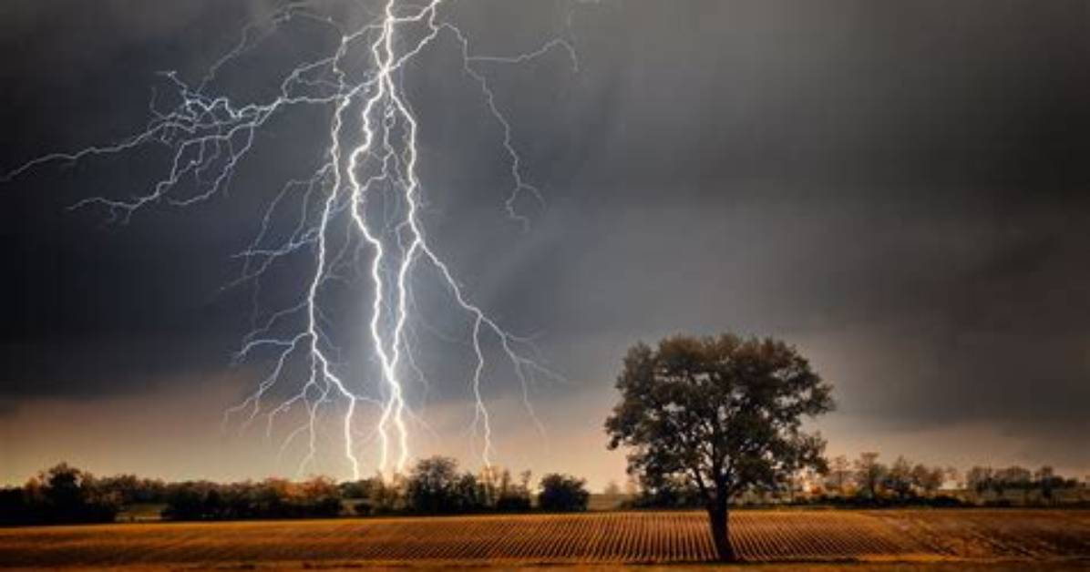 What Can You Include in a Lightning App Answer?