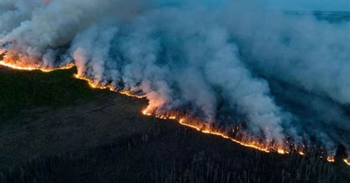 What Canadian Wildfires Signify for Climate, Public Health