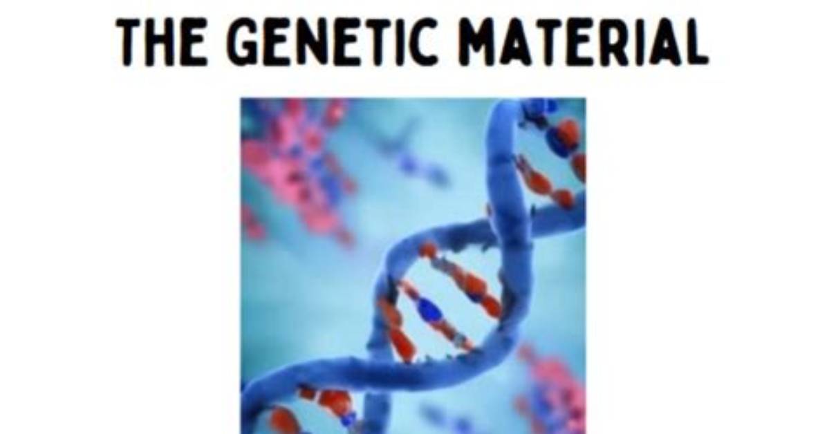 What Category Includes Genetic Material