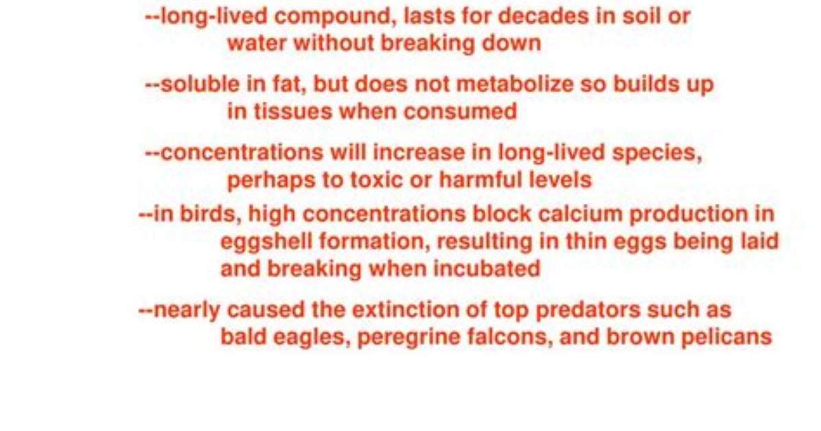 What Caused Ddt Problems