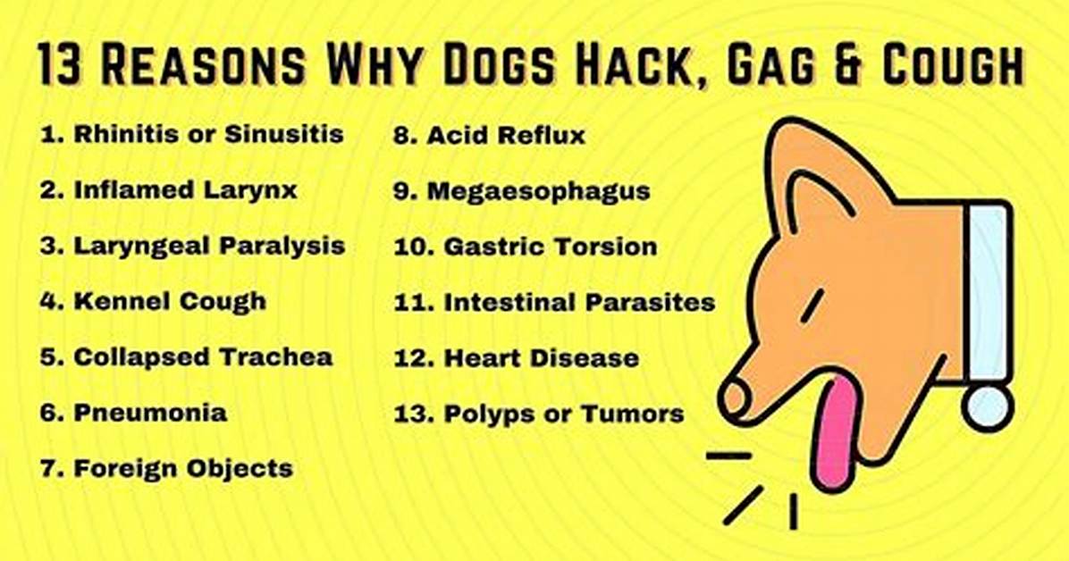 What Causes a Dog to Hack and Gag