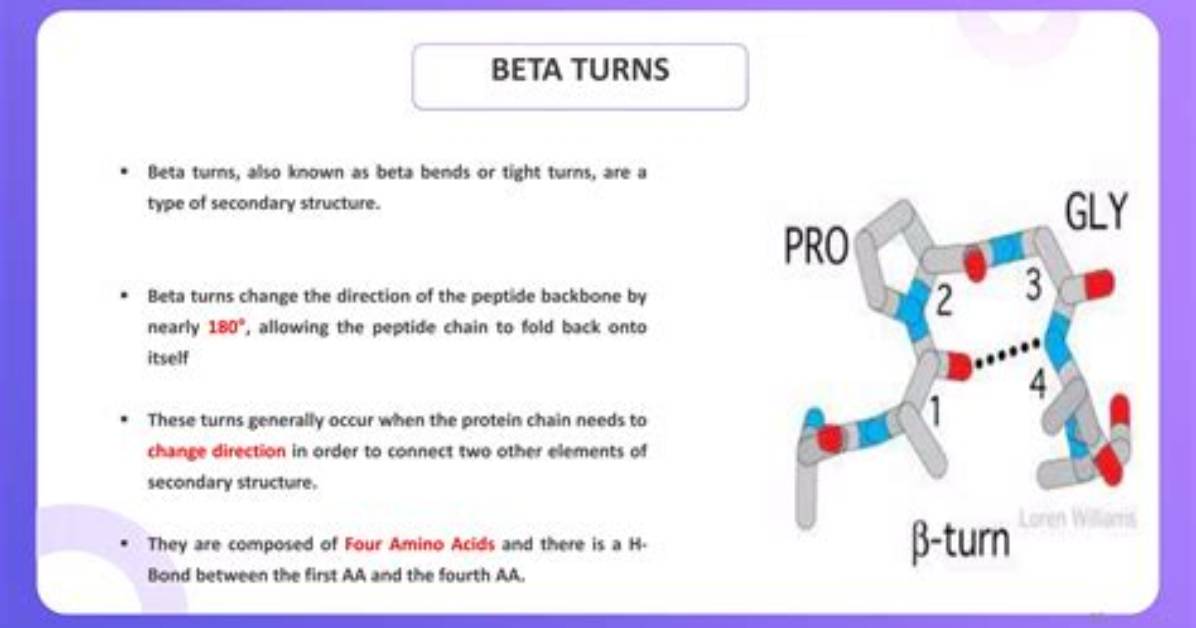 What Causes Beta Turns
