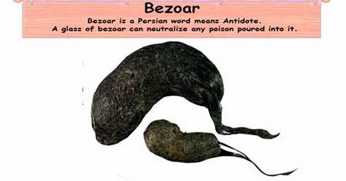 What Causes Bezoar?