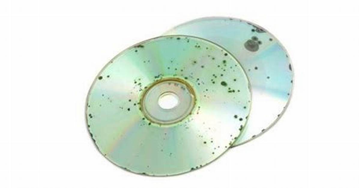 What Causes Cd Rot?
