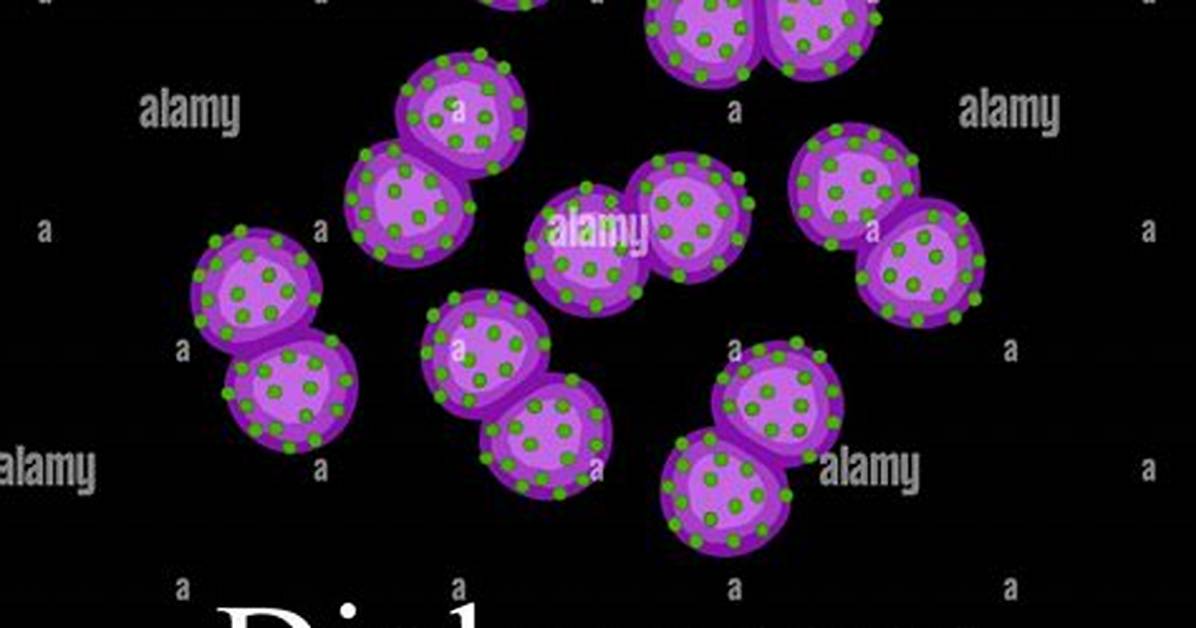 What Causes Diplococcus? | Contextresponse. Com