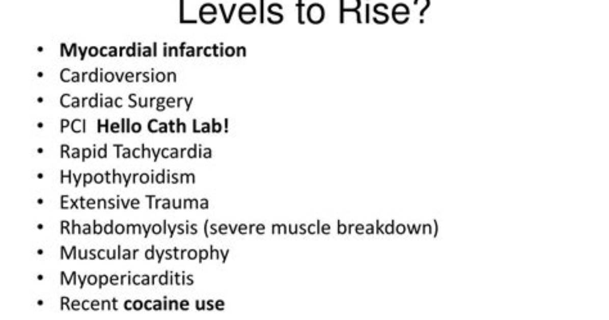 What Causes Elevated Creatine Kinase Levels in Horses?