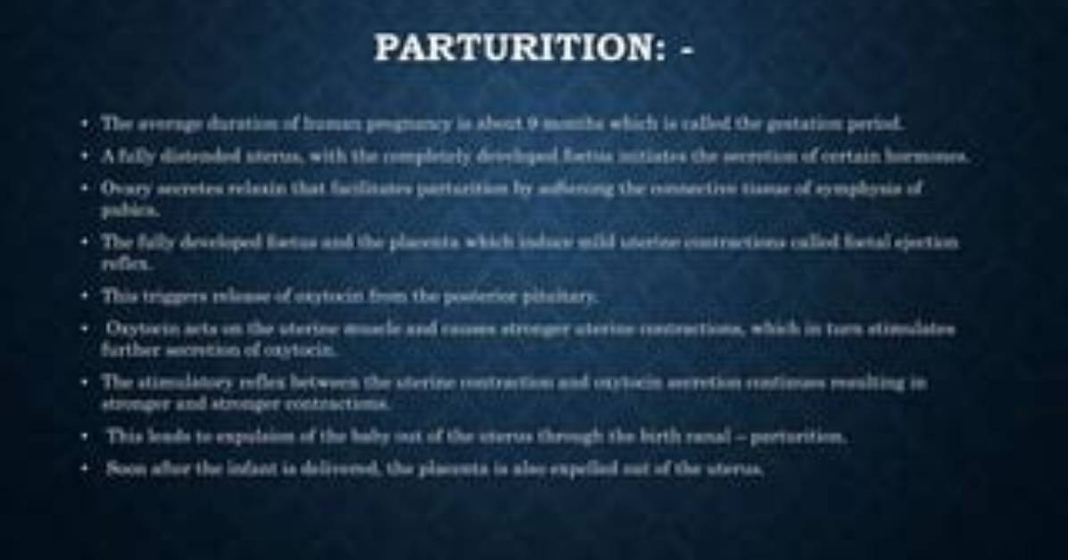 What Causes Human Parturition