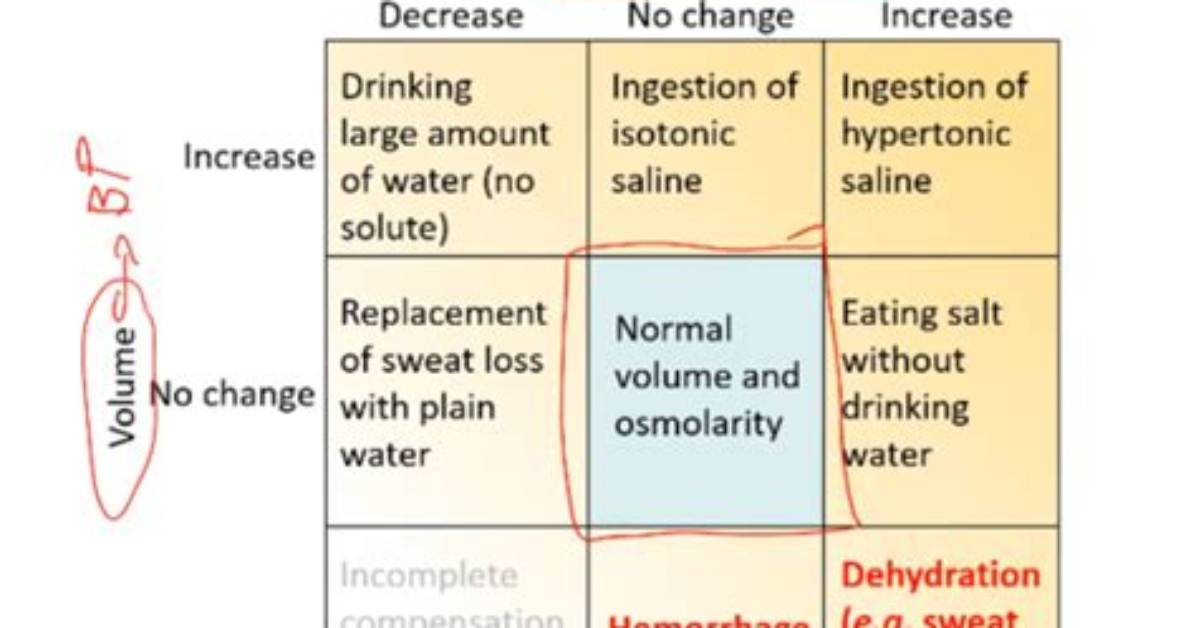 What Causes Hypoosmolarity