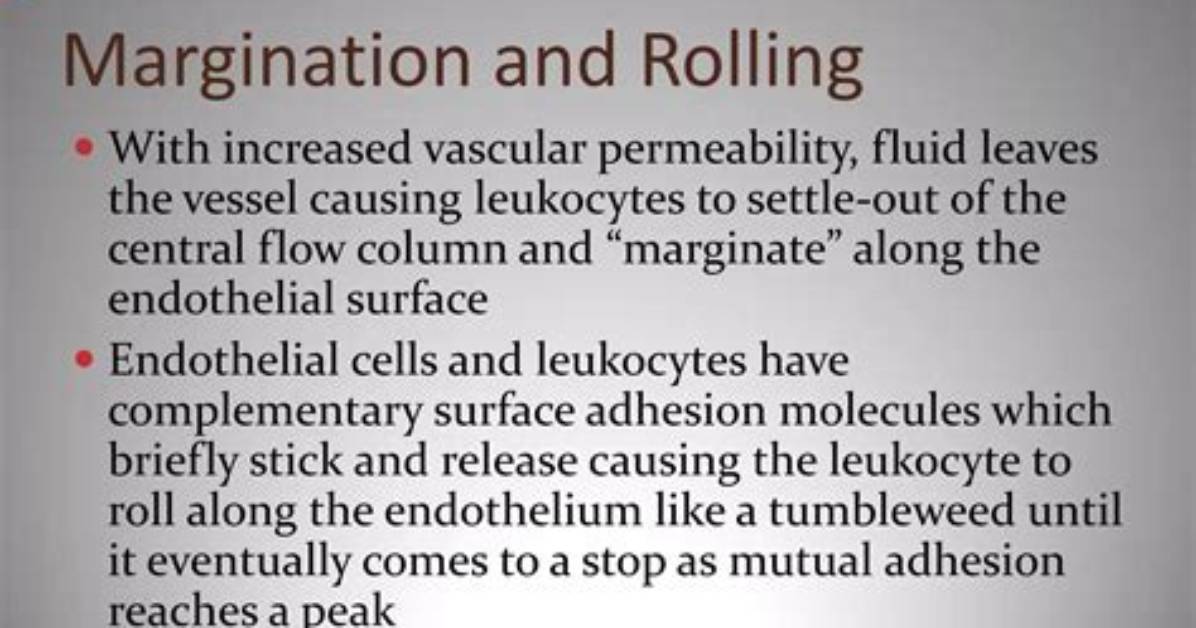 What Causes Margination