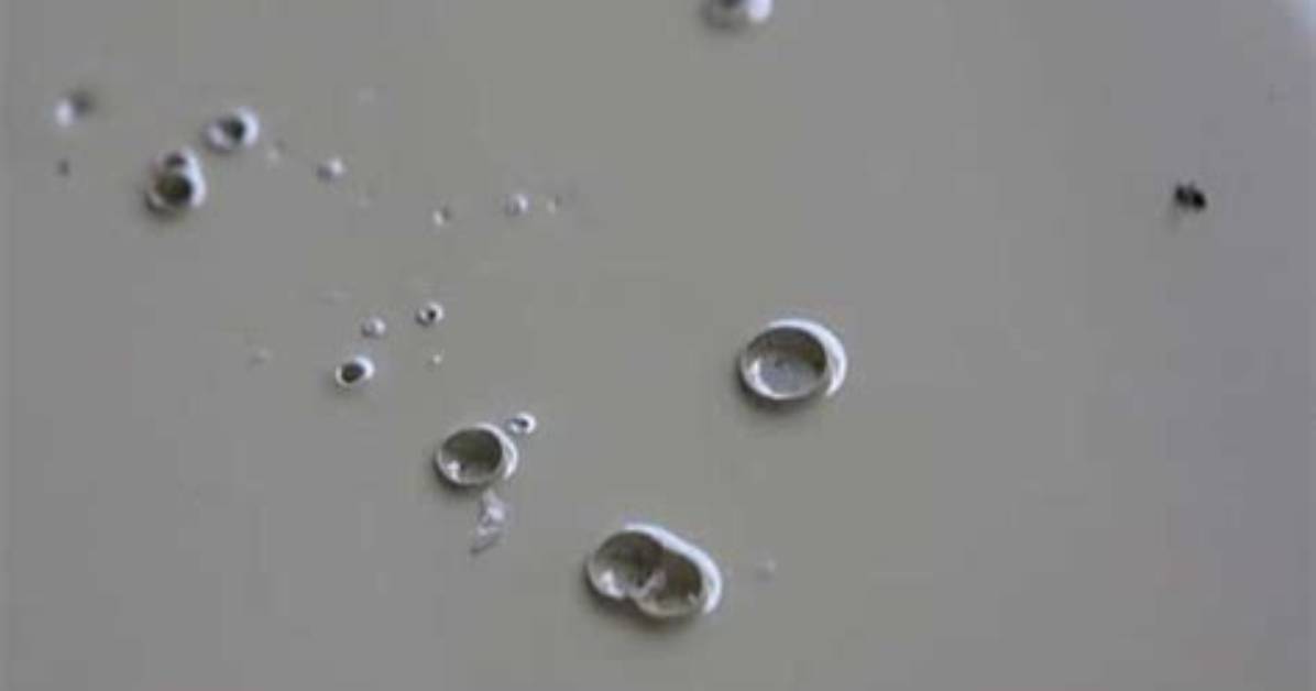 What Causes Paint Cratering