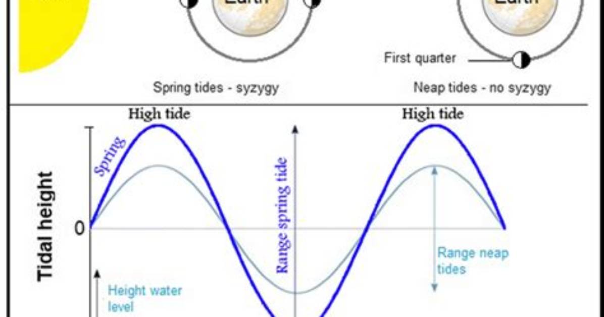 What Causes Semidiurnal Tides?