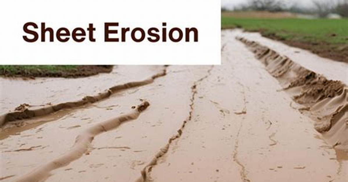 What Causes Sheet Erosion
